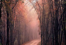 开云APP-日本乒乓球队爆冷击败德国队，王皓爆发神勇，乒坛激情再燃