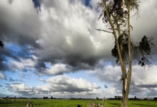 开云体育中国-瑞典碾压巴黎，穆勒惊艳世界