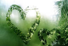 开云体育平台APP-英国网球队险胜意大利，阿尔卡拉斯高光表现引爆赛场热潮